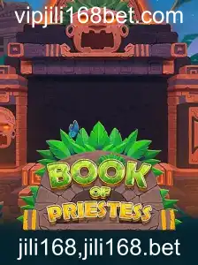 Explorando o Fascinante Mundo de BookOfPriestess