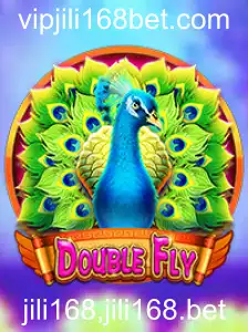 Descubra DoubleFly: O Jogo que Conquistou Enthusiastas em jili168